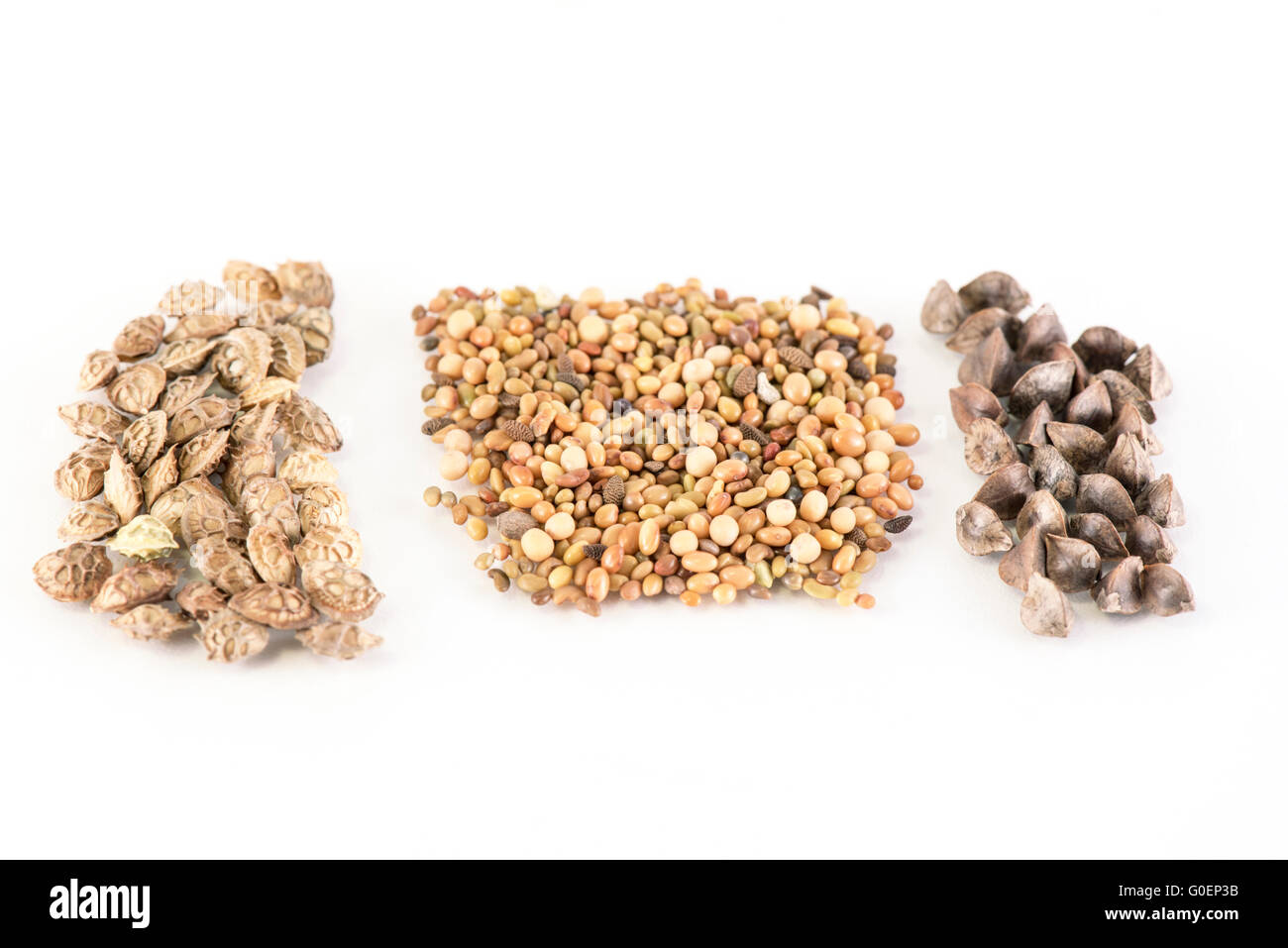 Seeds mix on white background Stock Photo