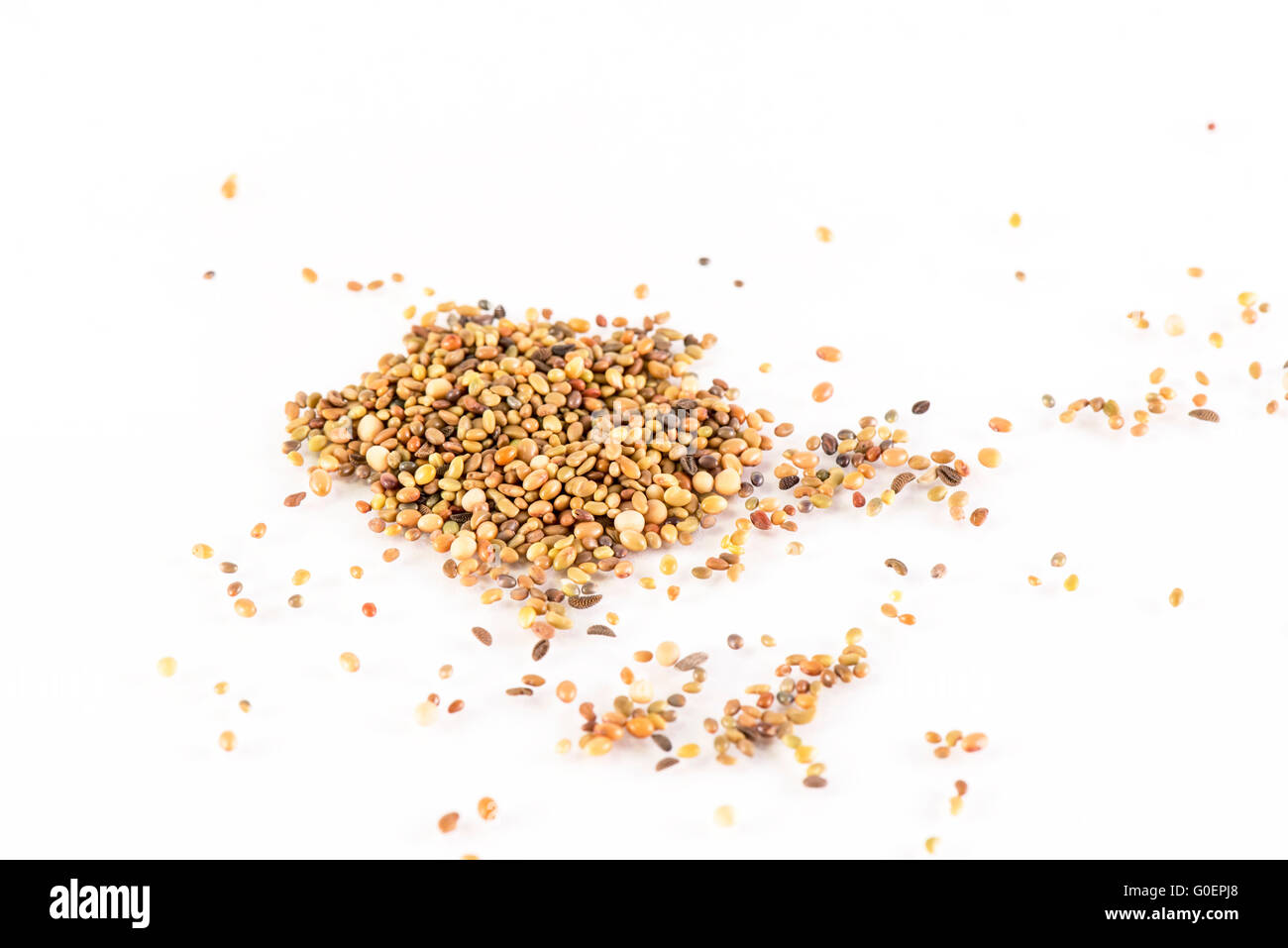 Seeds on white background Stock Photo Alamy