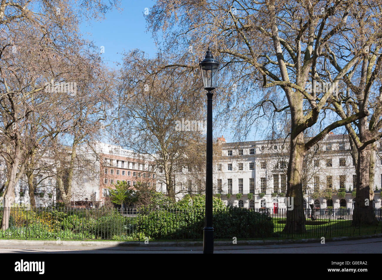 Fitzroy Square, Fitzrovia, London Borough of Camden, Greater London, England, United Kingdom Stock Photo