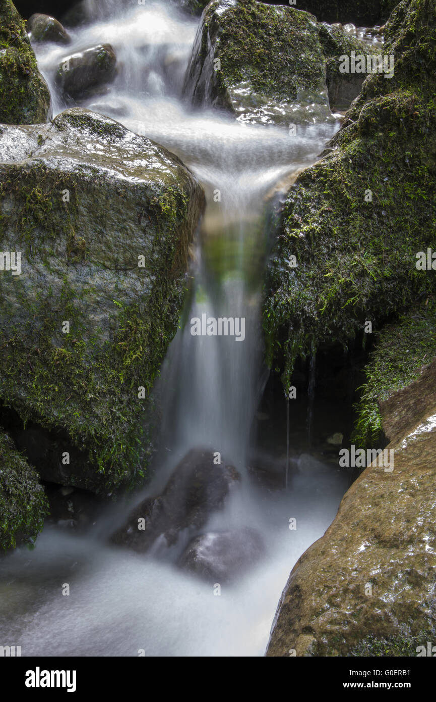 course of a stream and waterfall Stock Photo