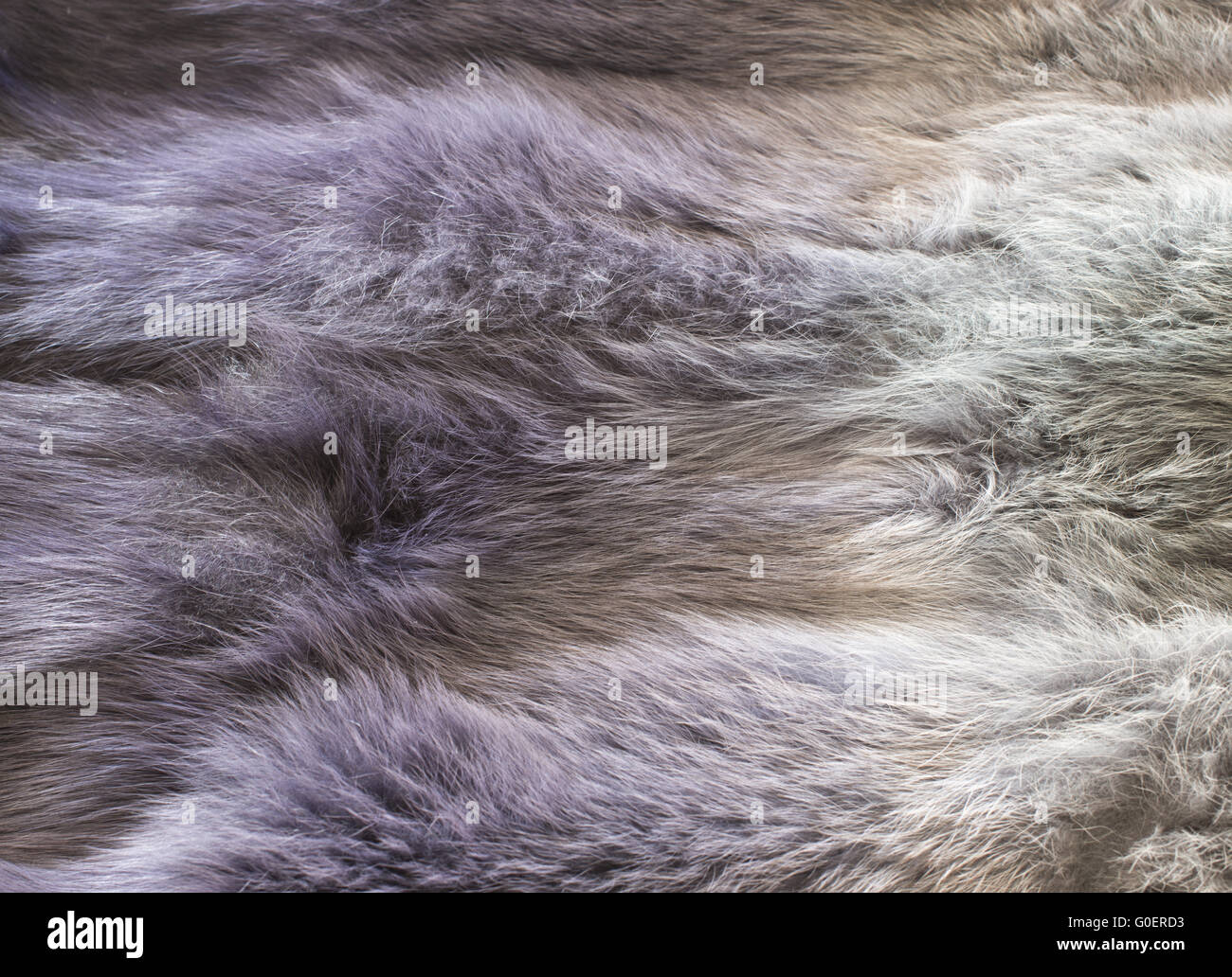 Fur background Stock Photo
