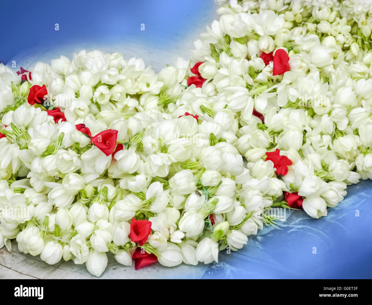 Garland of Jasmine flower. Stock Photo