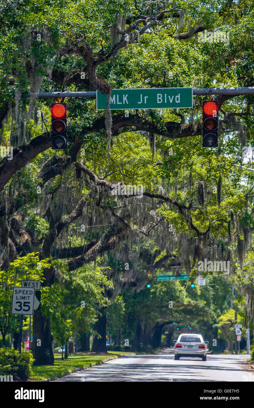 Savannah Georgia  oak tree lined streets Stock Photo