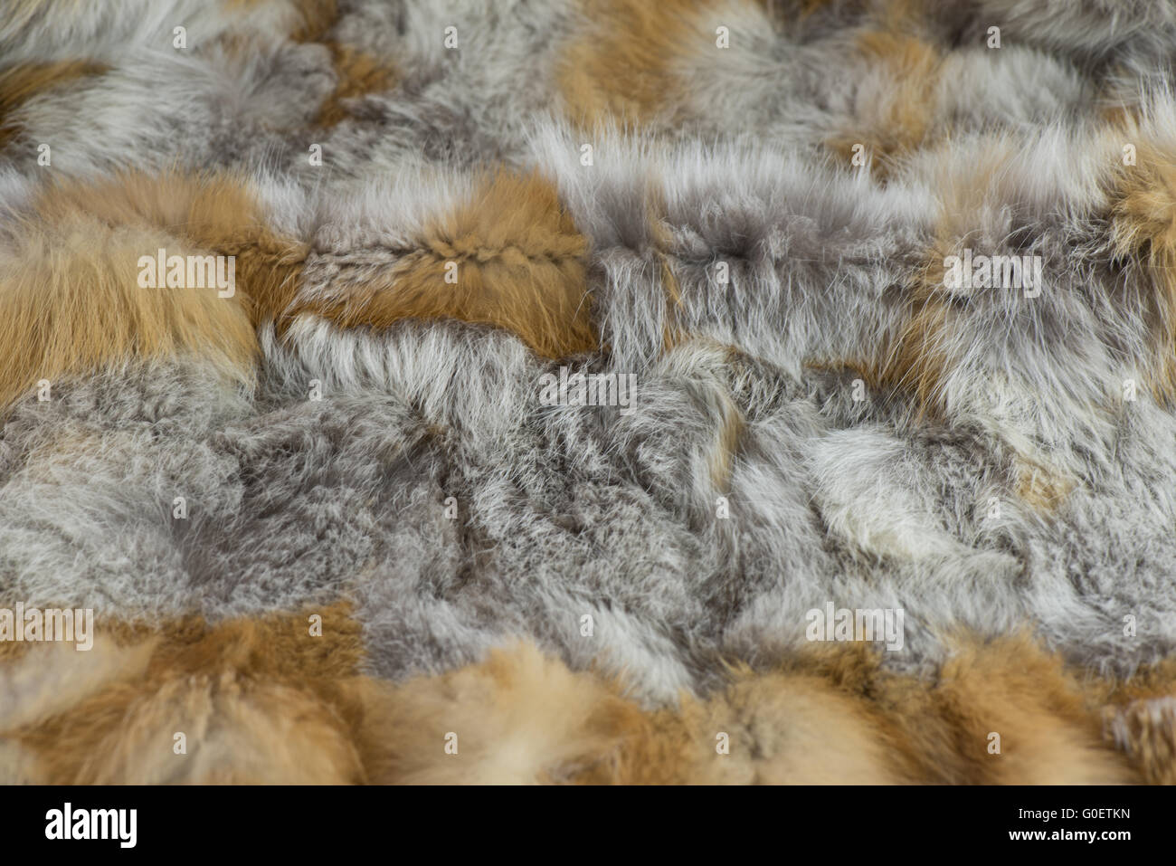 Fur background Stock Photo