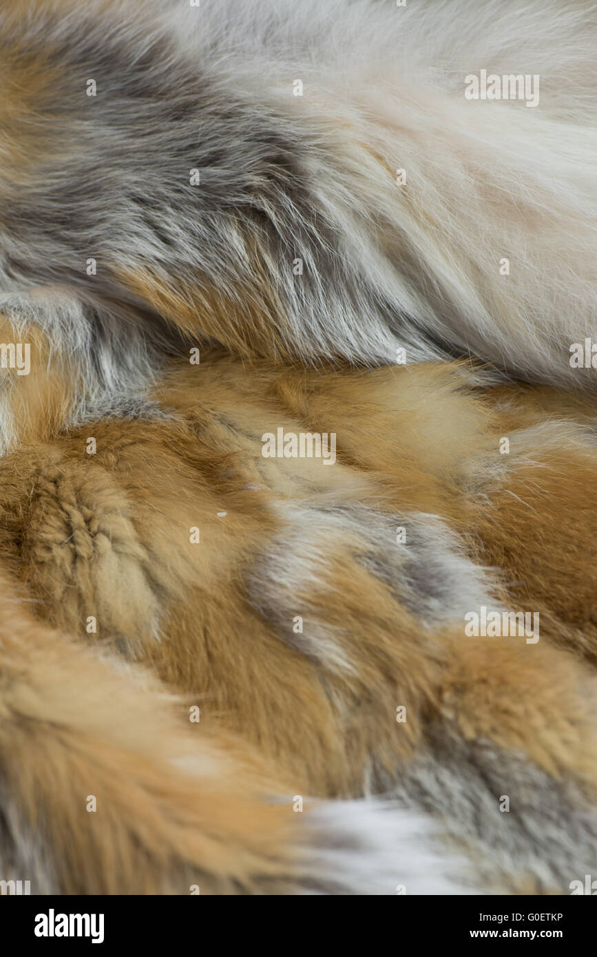 Fur background Stock Photo