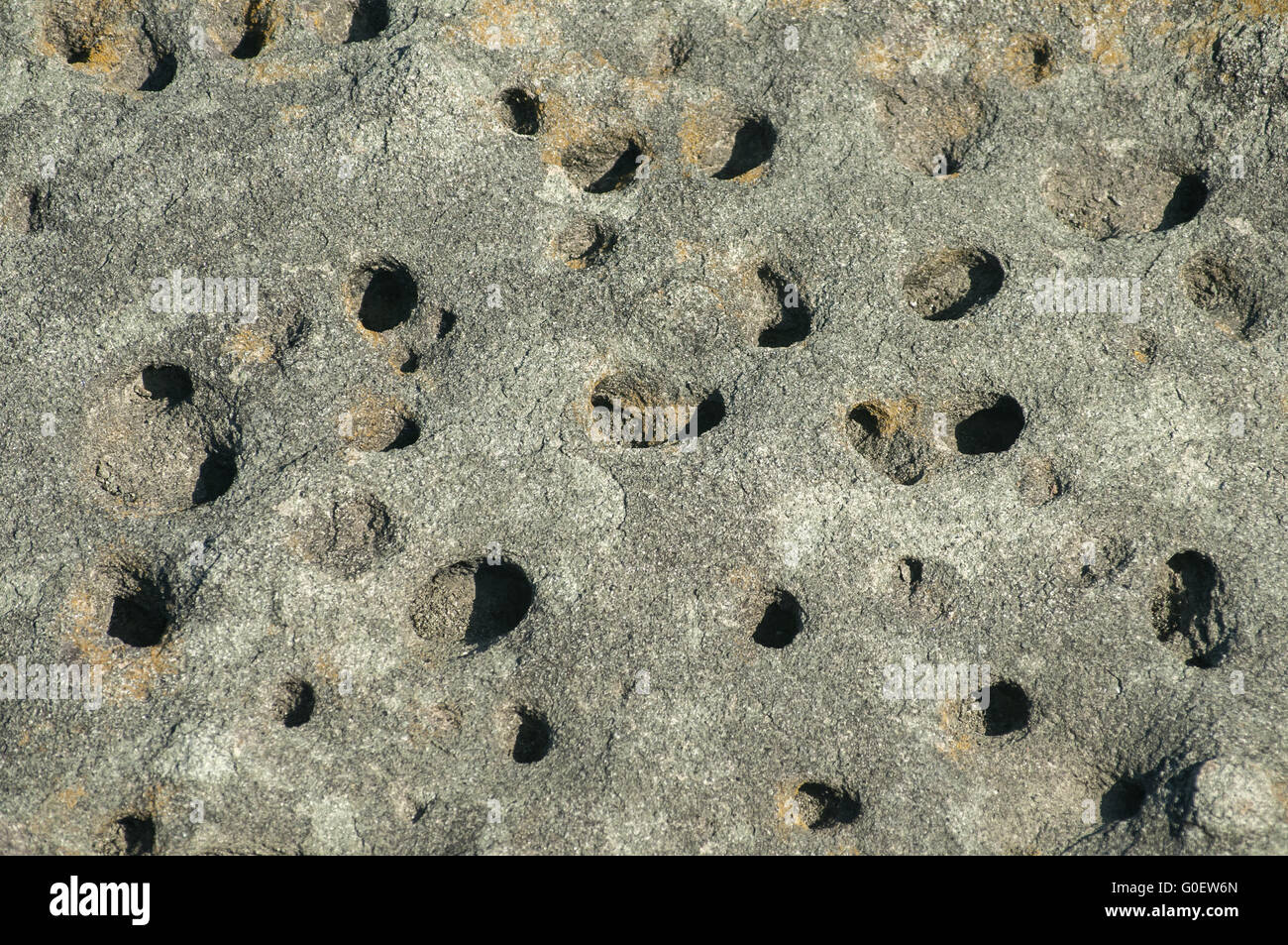 Sea Surface Rocks Sea rock surface closeup detail as background Stock Photo - Alamy