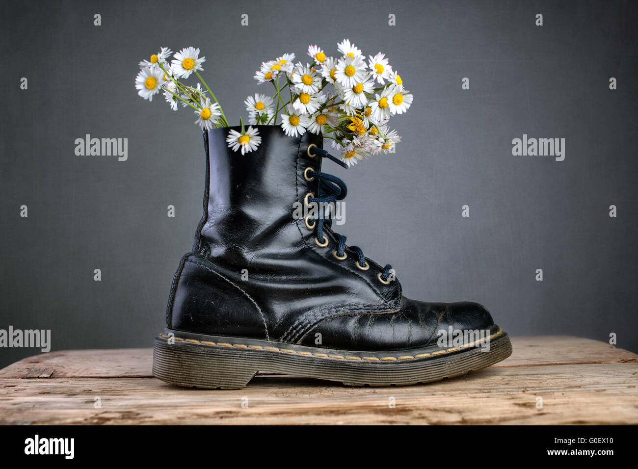 Boots with daisy flowers Stock Photo