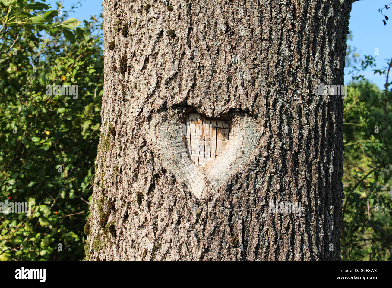 Wooden Heart Stock Photo