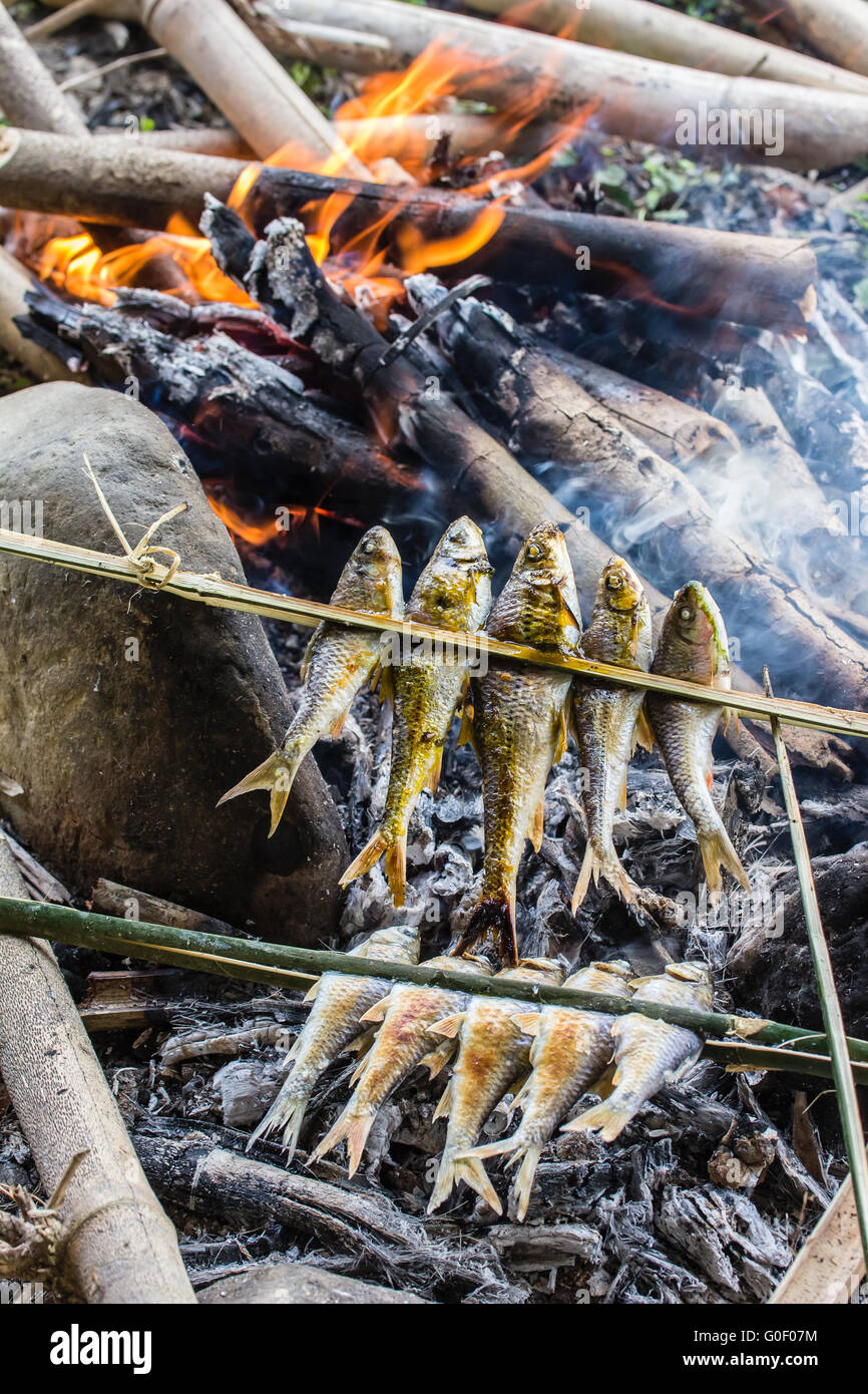 Fish barbecue over a campfire Stock Photo Alamy