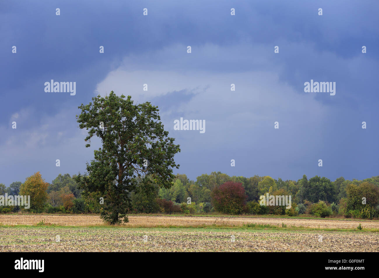 Late summer in southern Bavaria, DE Stock Photo