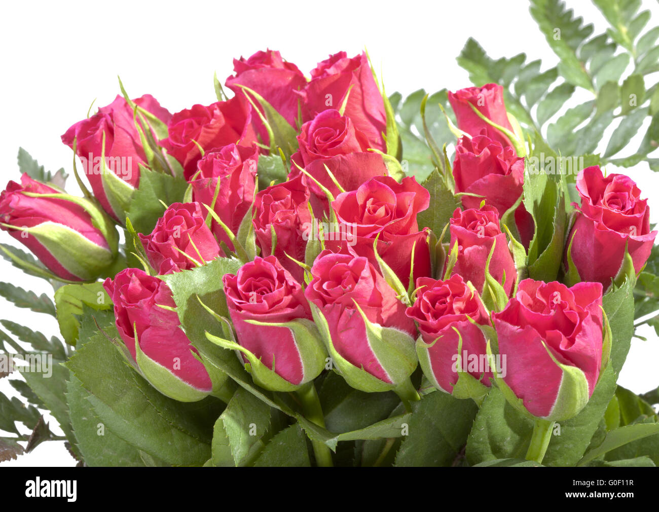 Red roses bouquet Stock Photo Alamy