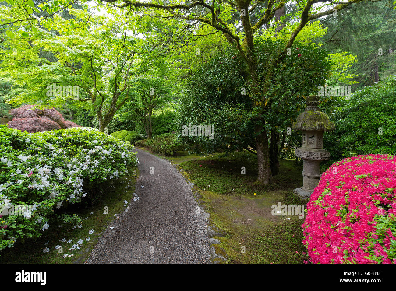 Garden Path with stone lantern plants and flowers at Japanese Garden Stock Photo