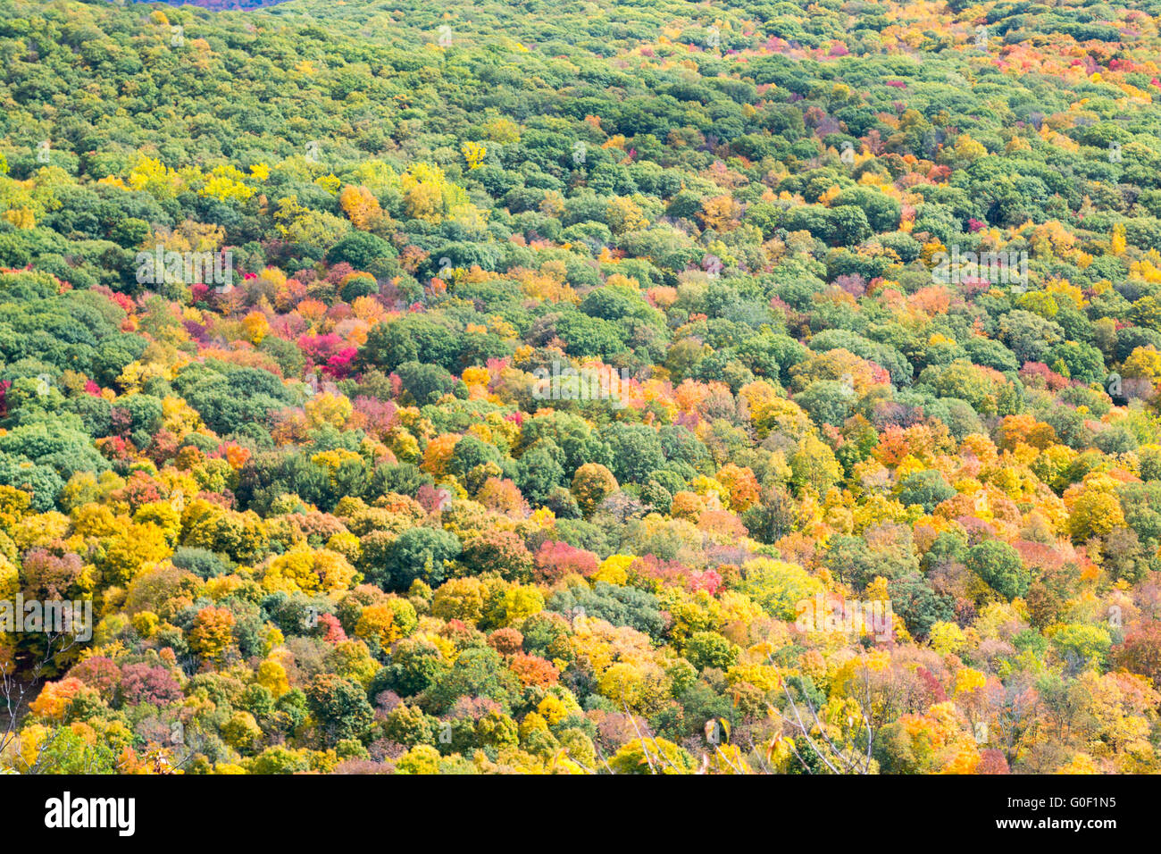 Autumn colors Stock Photo