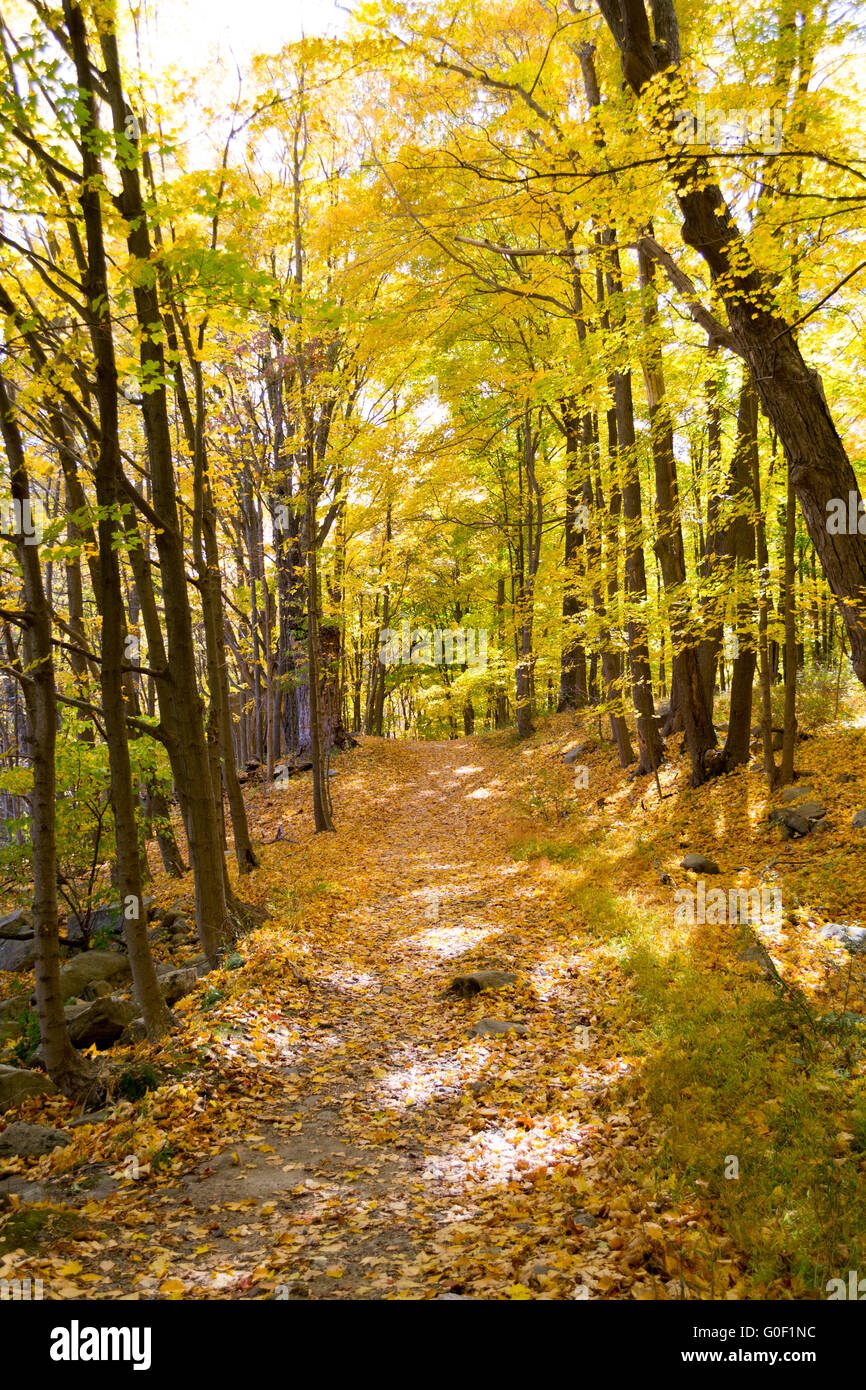Fall hiking path Stock Photo