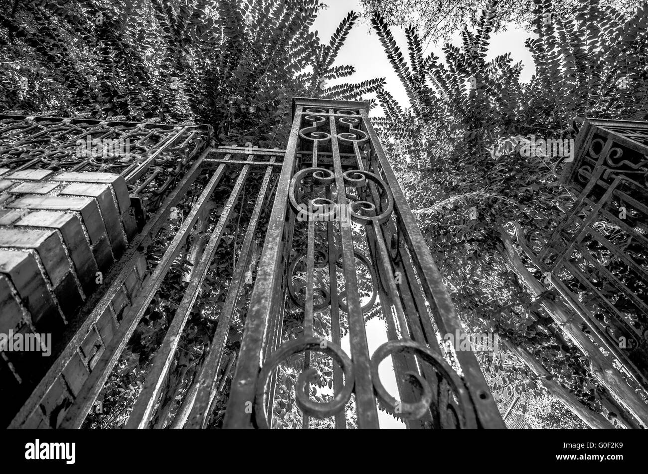 Classical design black wrought iron gate in a beautiful green garden ...