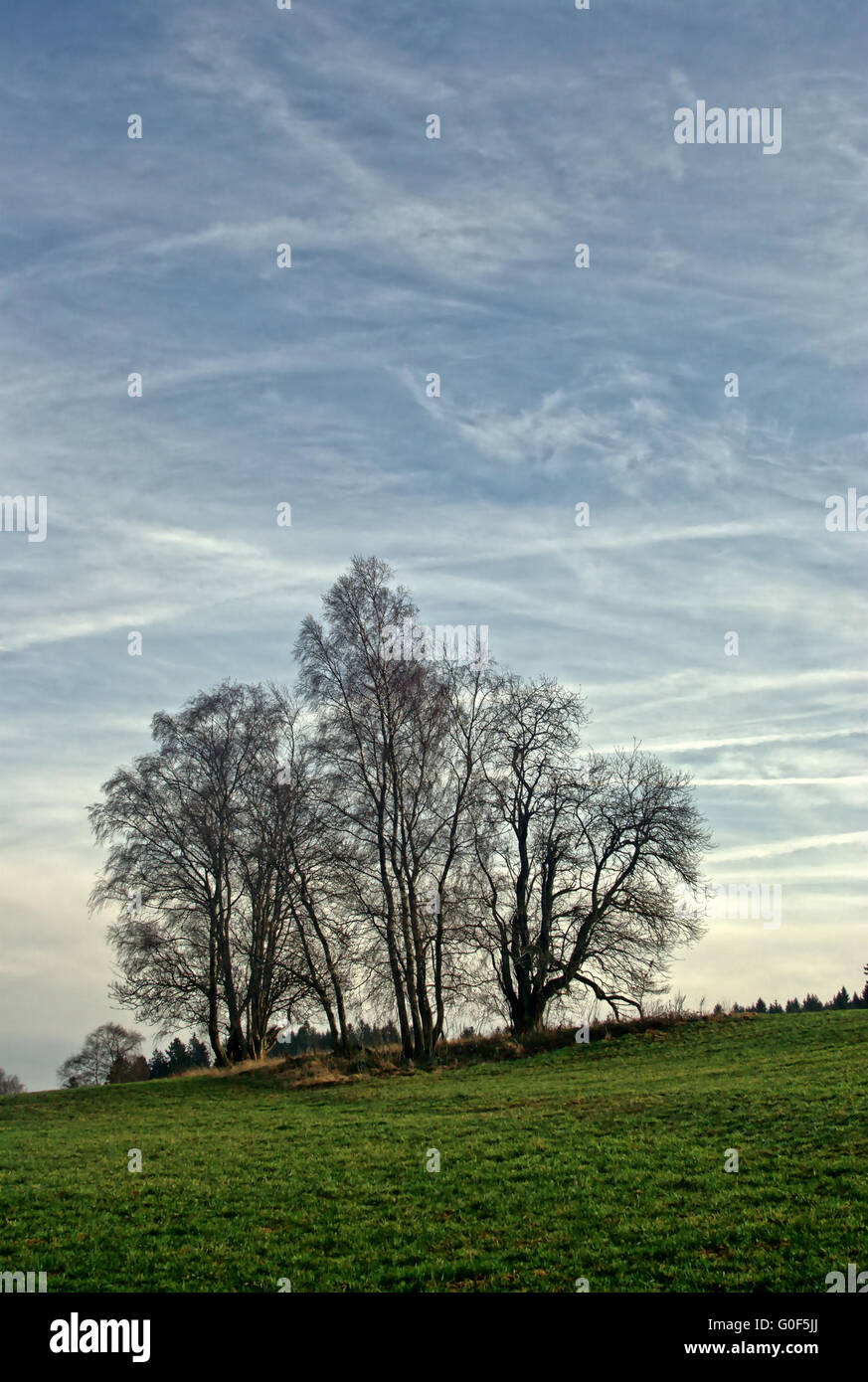 Strips field hi-res stock photography and images - Alamy