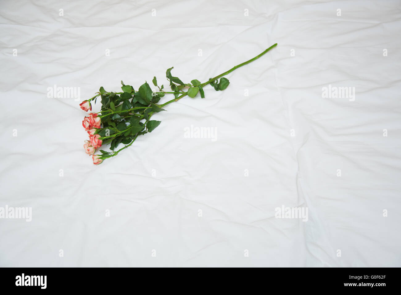 Plant symbolism hires stock photography and images Alamy