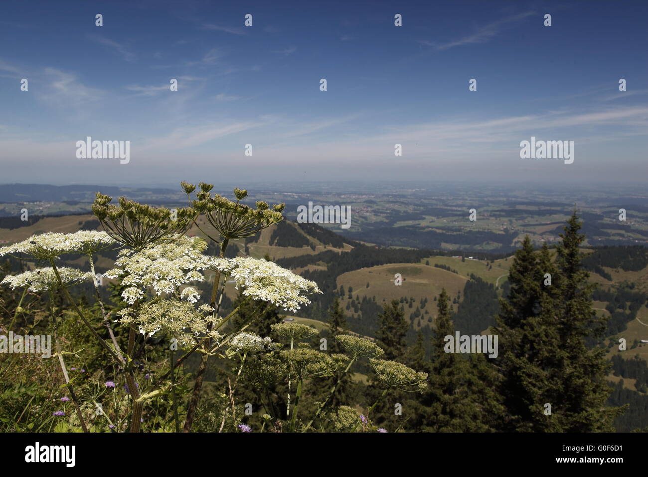 View from Nagelfluh mountains to Alpine Upland Stock Photo