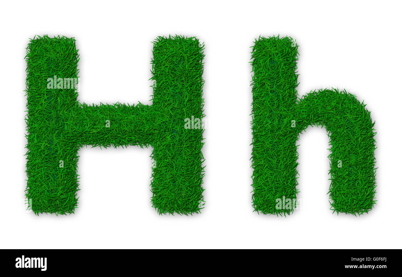 Illustration of capital and lowercase letter H made of grass Stock