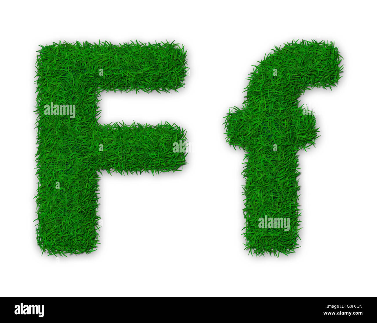 Illustration of capital and lowercase letter F made of grass Stock Photo