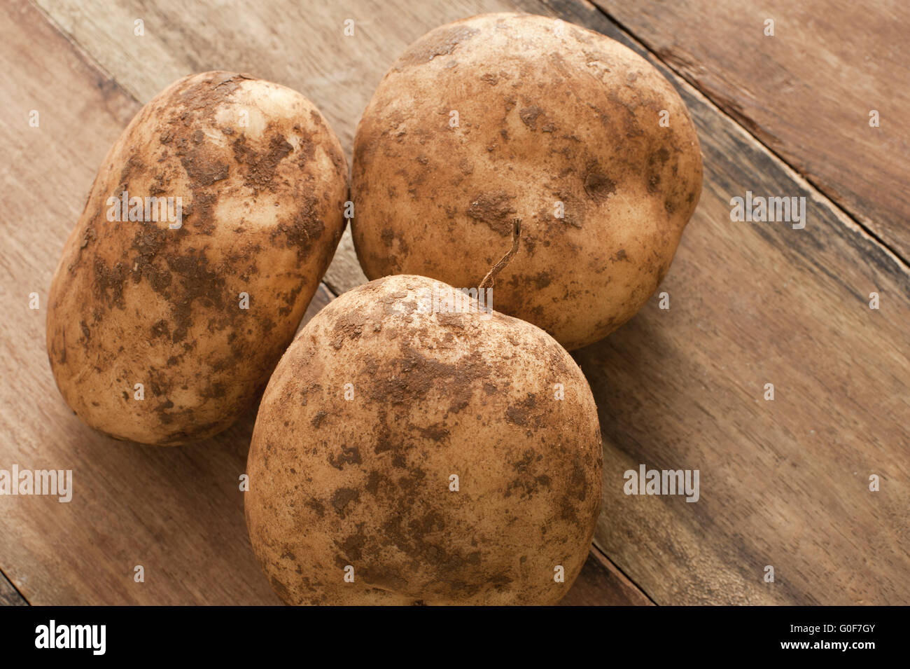Unwashed fresh farm potatoes Stock Photo