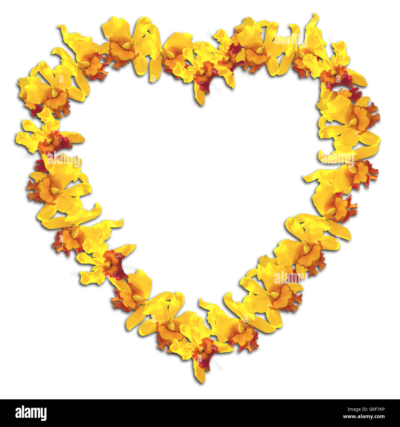 Heart Frame Yellow orchid on white background Stock Photo