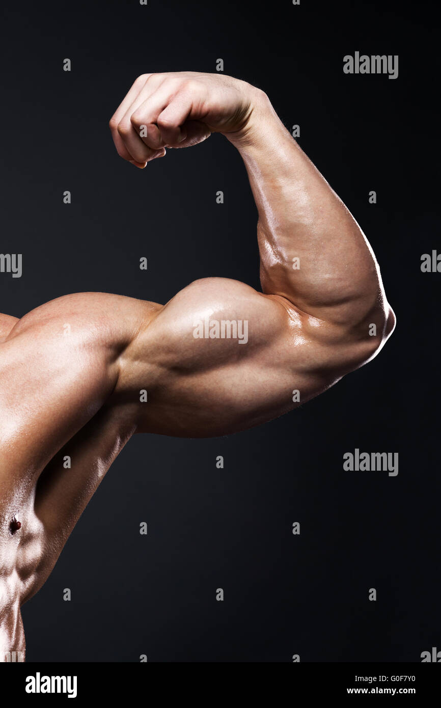 muscular human male arm from front view Stock Photo