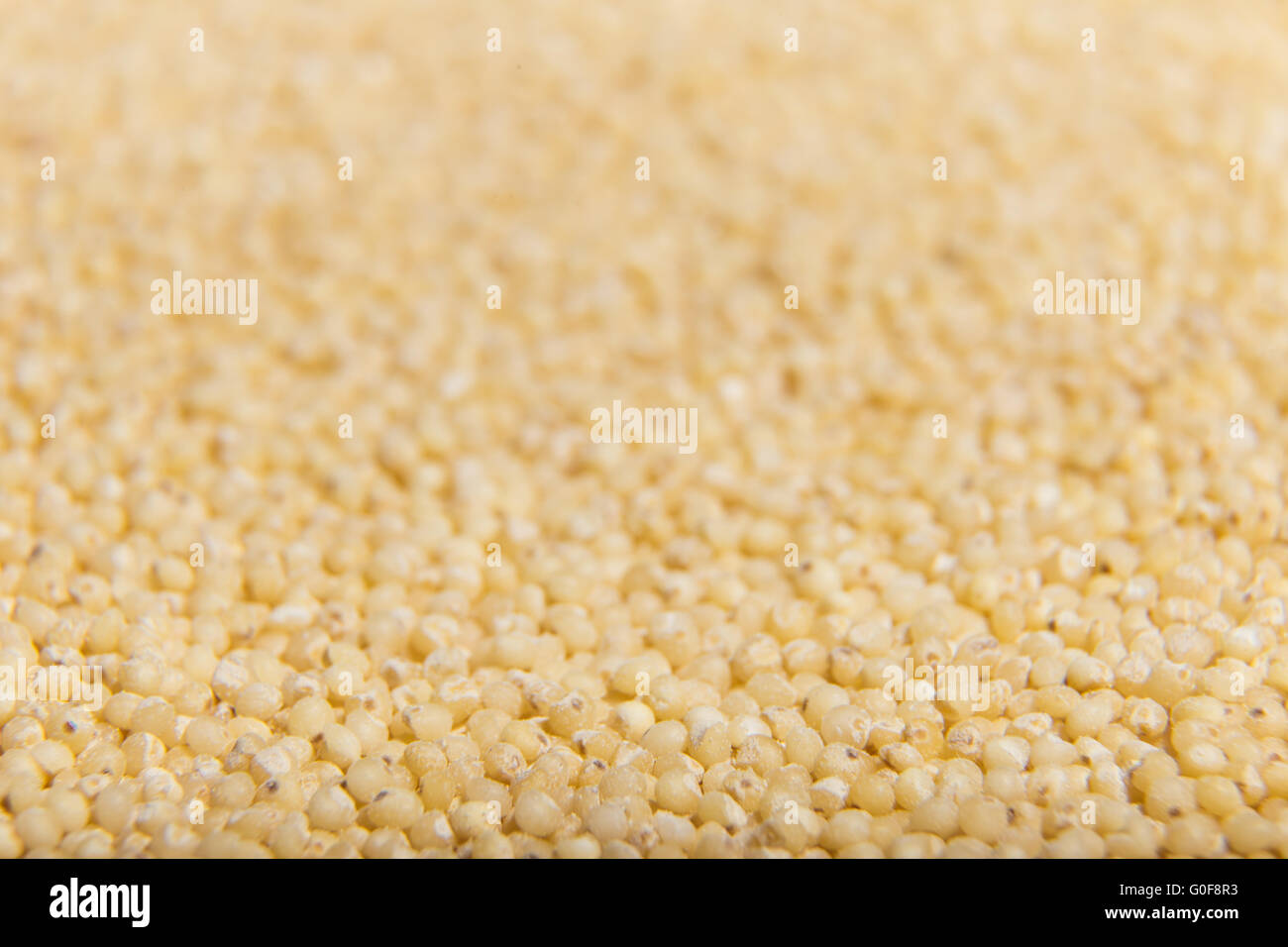 Uncooked millet cereal closeup macro Stock Photo Alamy