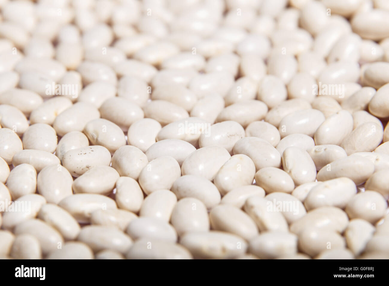 Kidney bean casserole hires stock photography and images Alamy