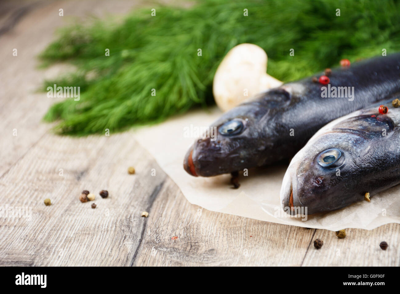 Raw seabass fish on the wooden board Stock Photo