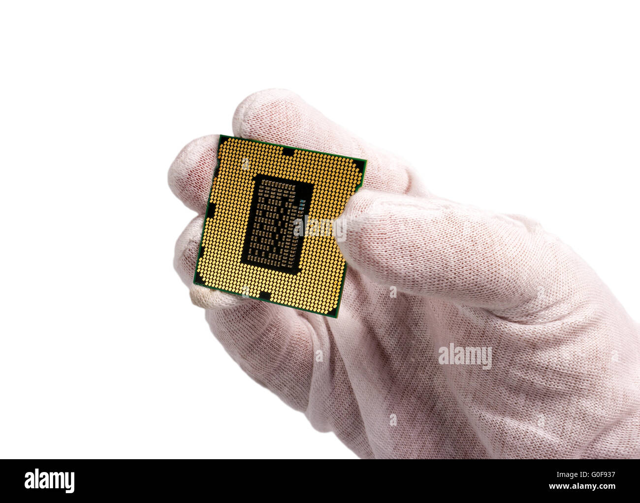 Computer processor from the bottom side in male Stock Photo