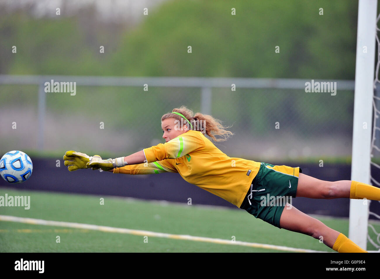 A sprawling keeper diving to prevent a crossing pass from finding an open opponent during a high school soccer match. USA. Stock Photo