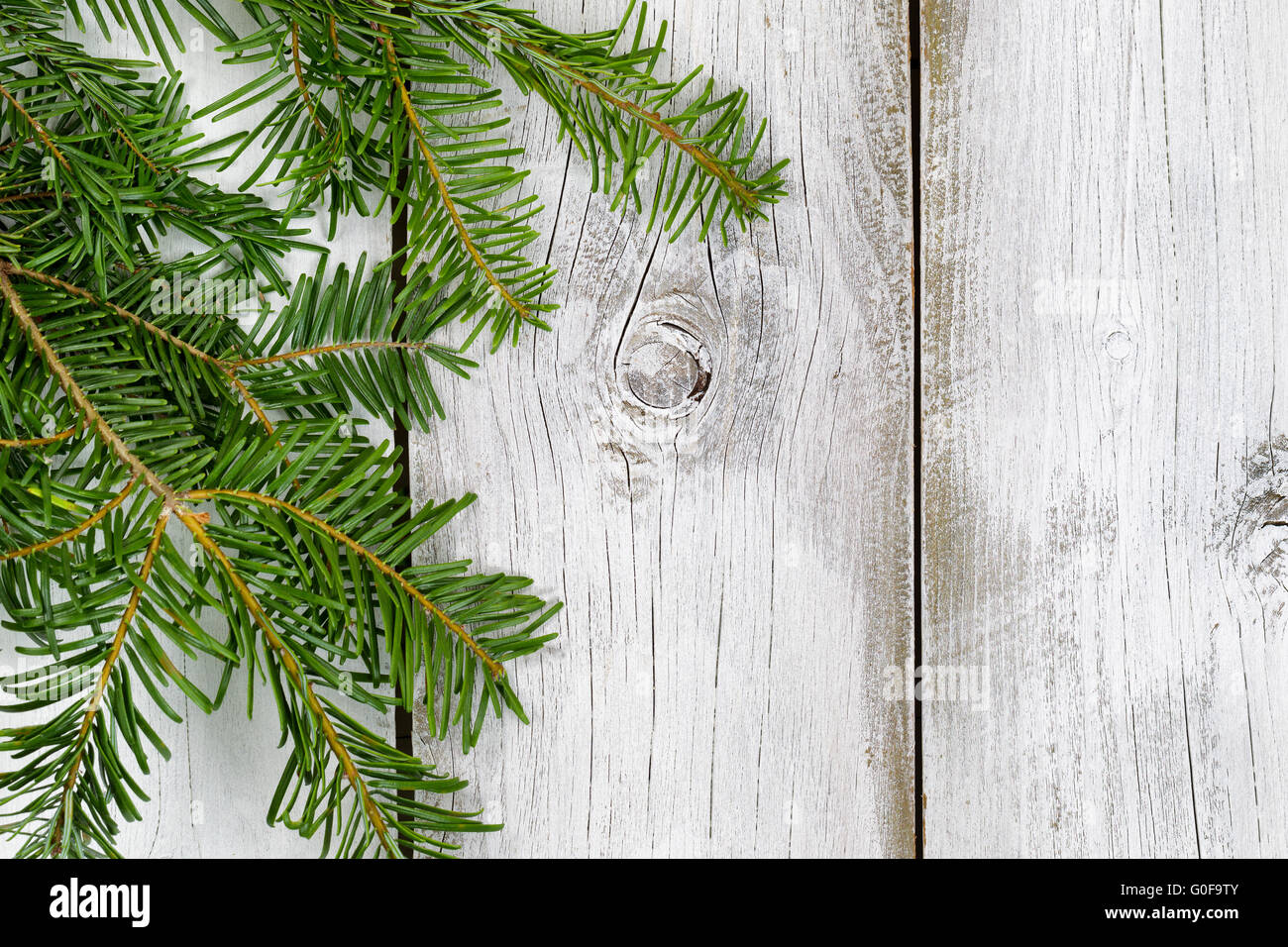 Grand fir branch on rustic white wooden boards Stock Photo