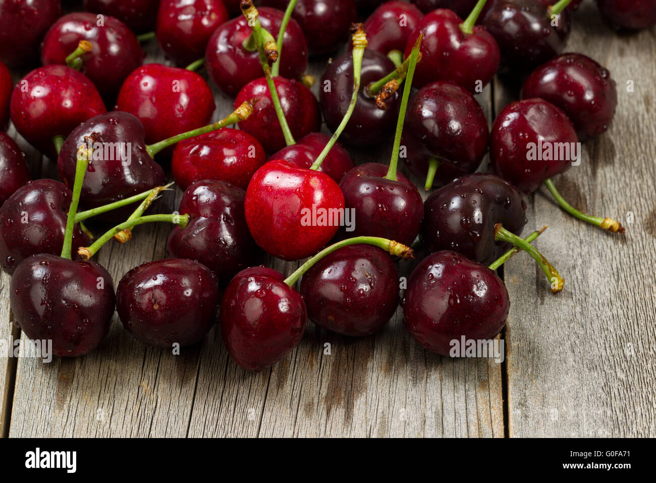 Ripe whole black cherries on rustic wood ready to eat Stock Photo