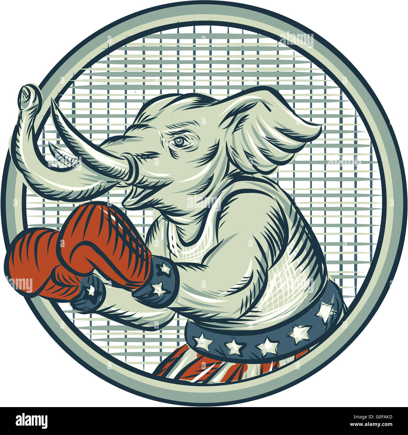 Elephant boxer boxing hi-res stock photography and images - Alamy