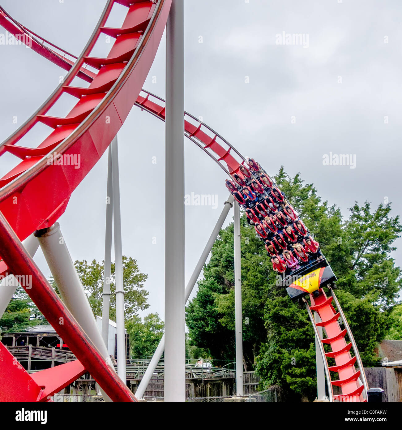 crazy rollercoaster rides at amusement park Stock Photo Alamy