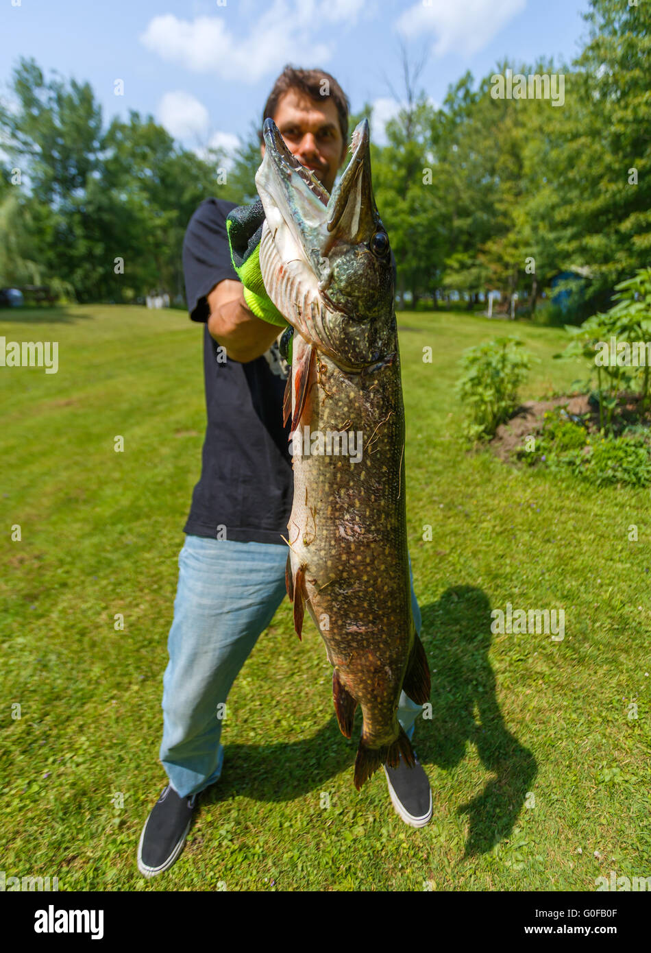 Big pike hi-res stock photography and images - Alamy