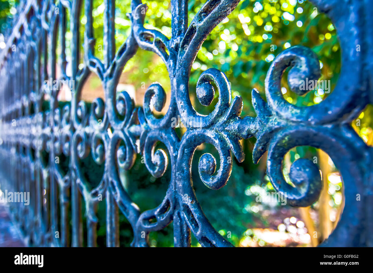 Classical design black wrought iron gate in a beautiful green garden ...