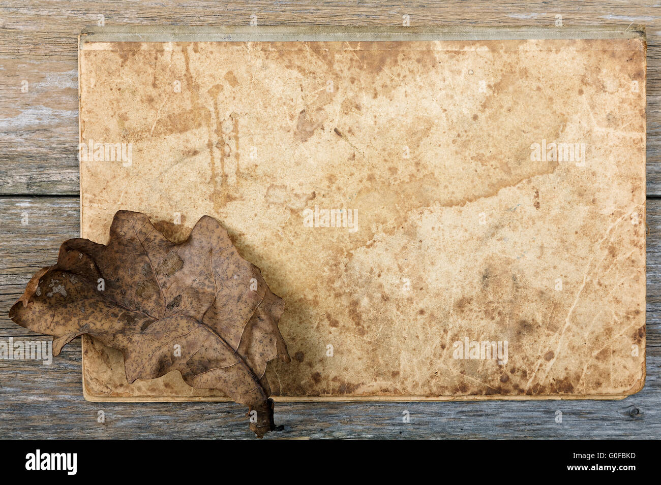 Still-life Dry oak sheet on an old writing-book Stock Photo - Alamy