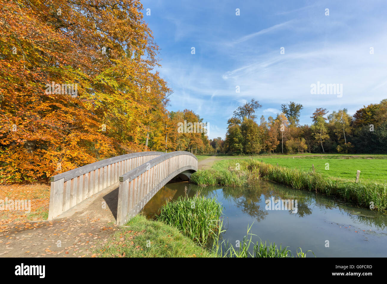 Autumn forest landscape with wooden bridge over water Stock Photo - Alamy