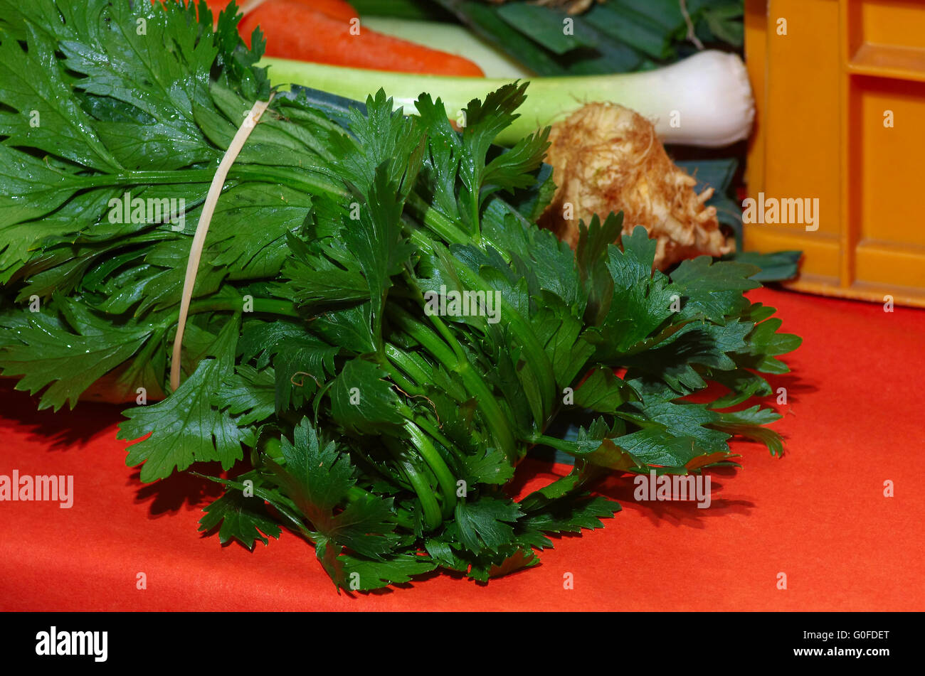 soups vegetables Stock Photo