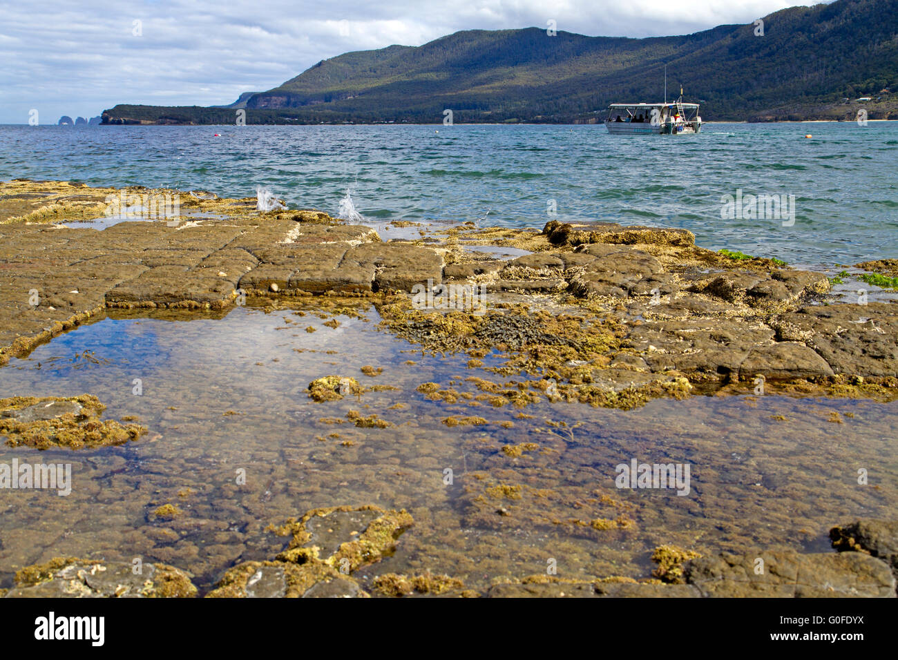 Coastline at Pirates Bay Stock Photo Alamy