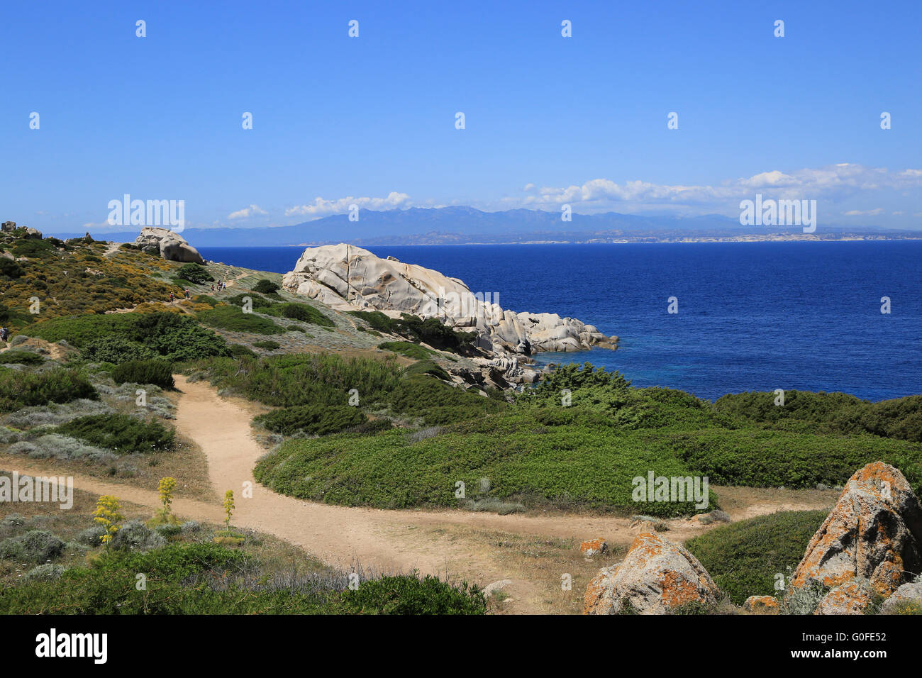 Bizarre rock formations in Sardinia Capo Testa with typical coastal vegetation and yellow blooming g Stock Photo