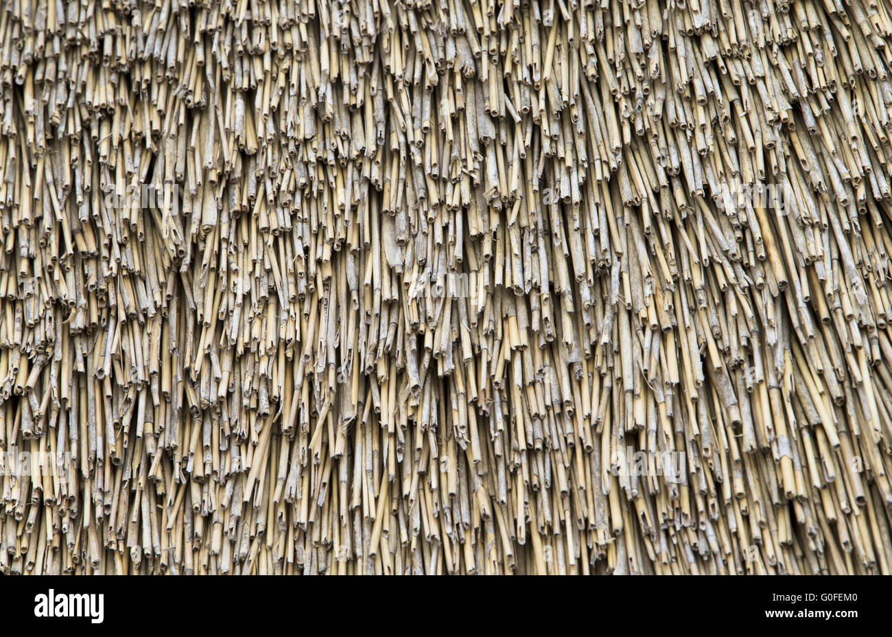 Page 2 Thatch Roof Texture Background High Resolution Stock Photography And Images Alamy