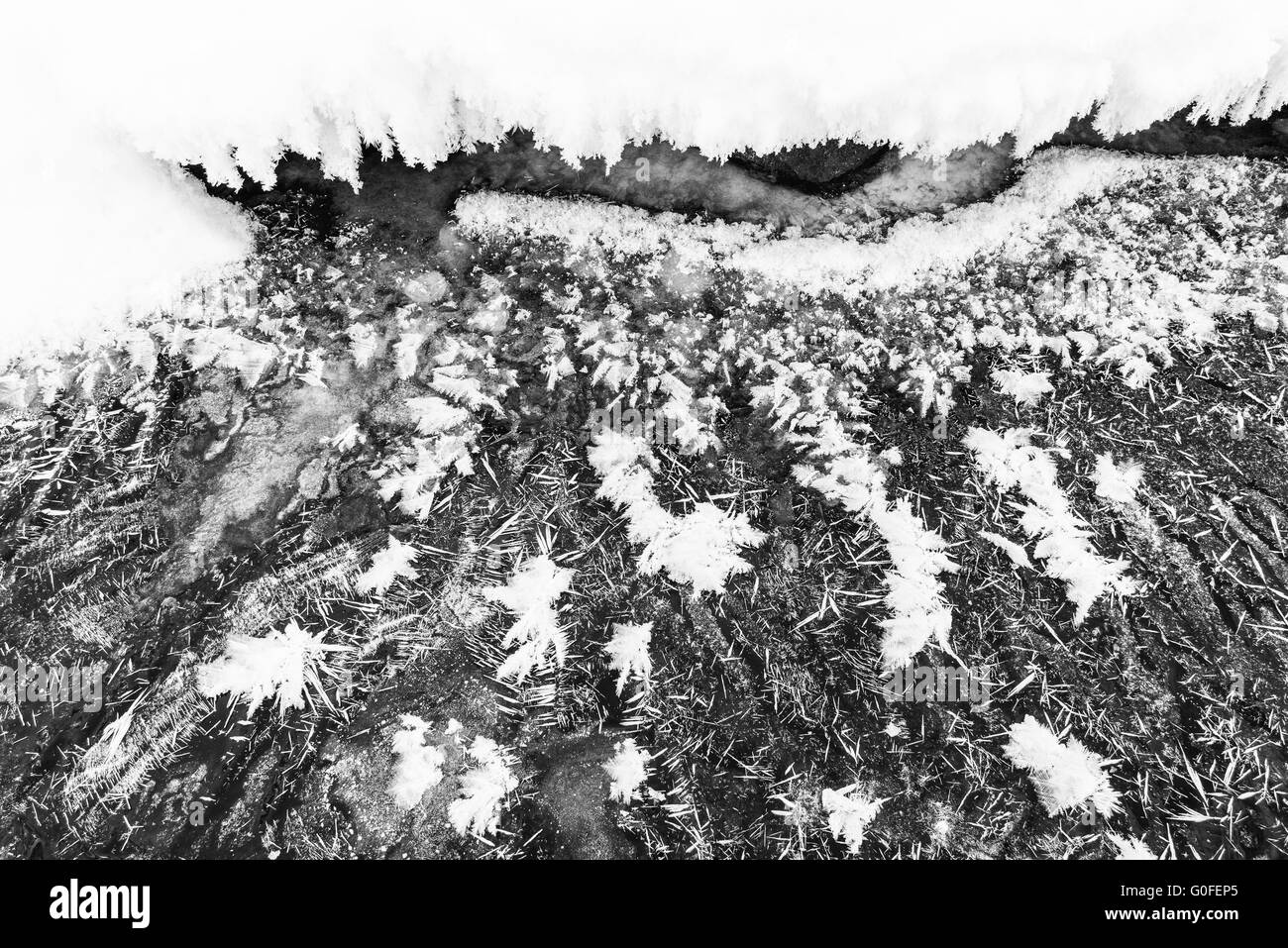 frozen brook, Lapland, Sweden Stock Photo