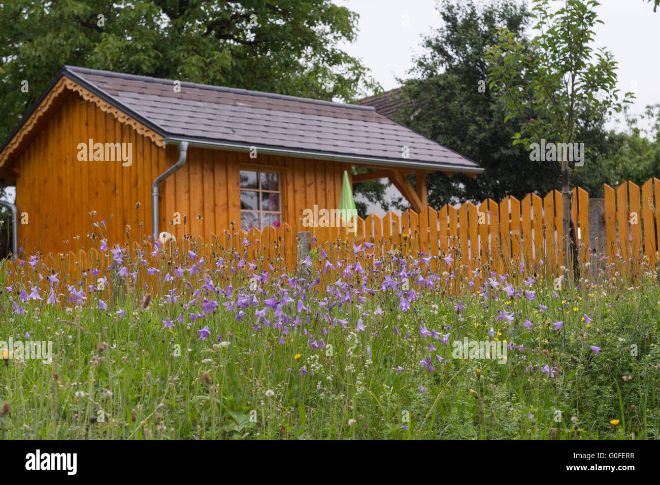 Garden house with an enclosed garden, in front of bell flower meadow Stock Photo