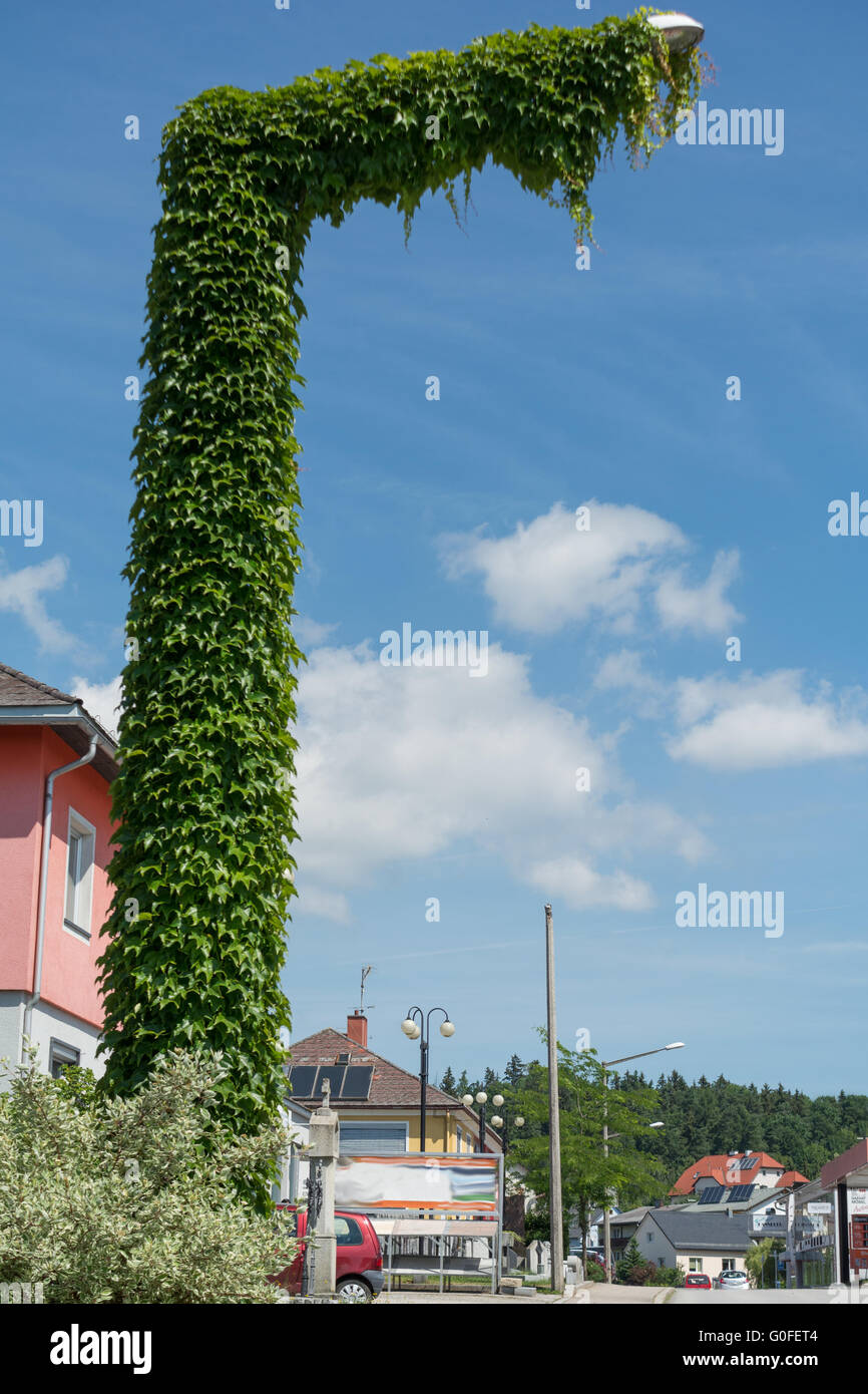 With creeper-covered street lamp Stock Photo