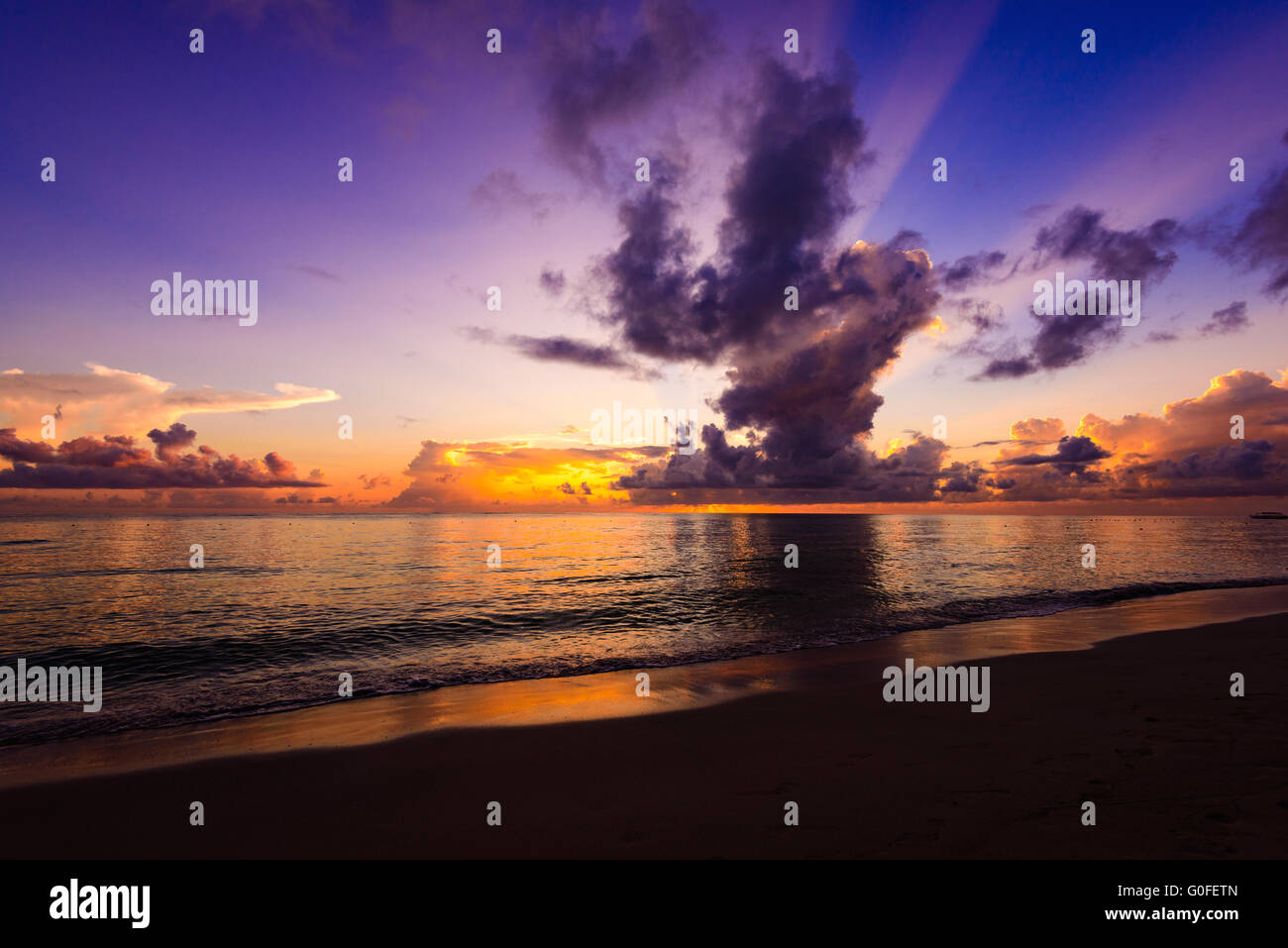 sunset silhouette of palm trees Stock Photo - Alamy