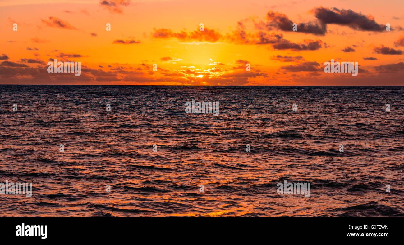 sunset silhouette of palm trees Stock Photo - Alamy