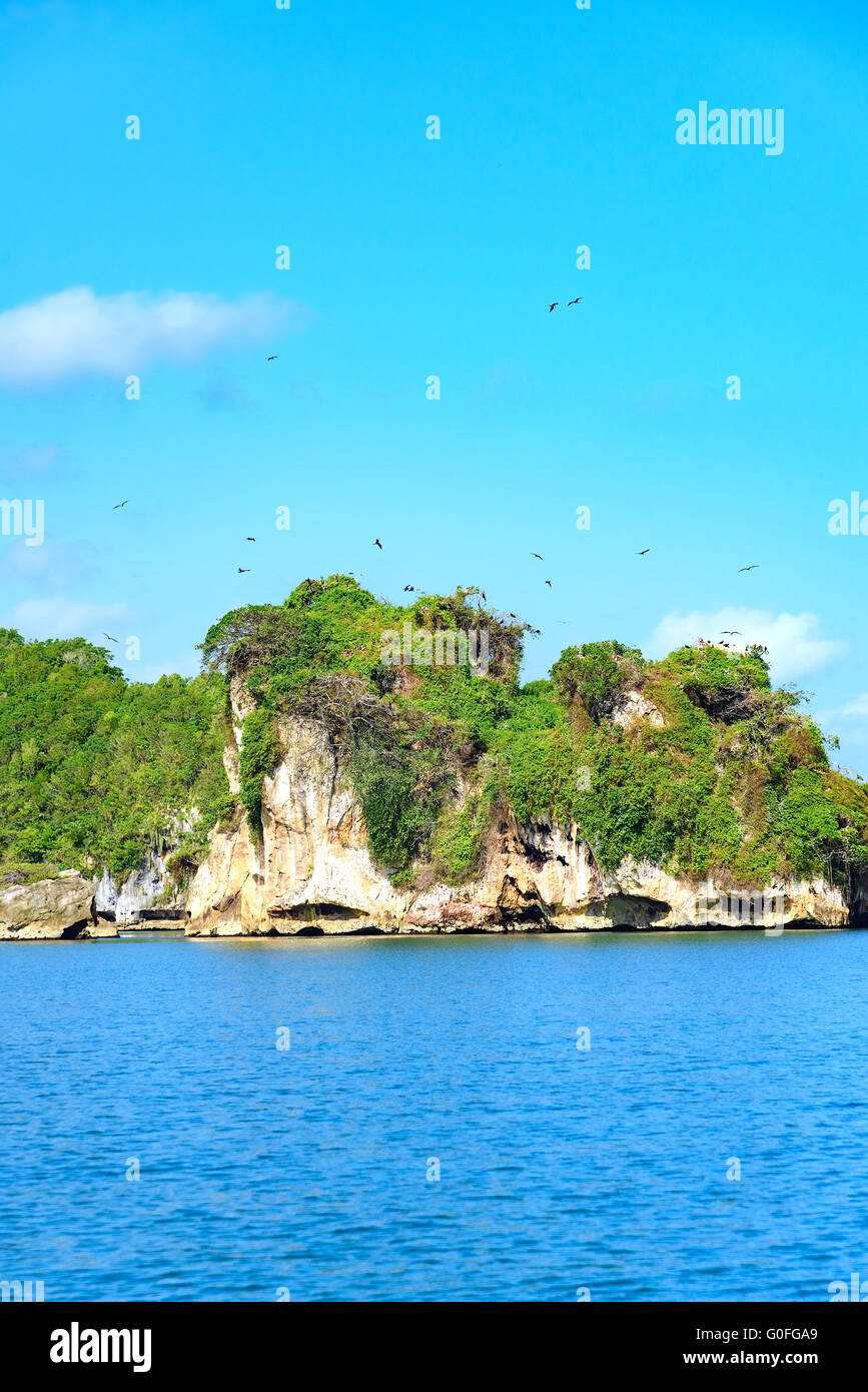 the island green trees in the ocean blue water Stock Photo - Alamy